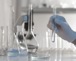 Investigacion