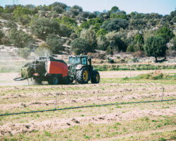 sector agrario